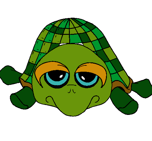 Tortuga