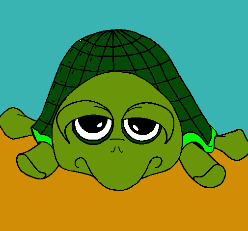 Tortuga