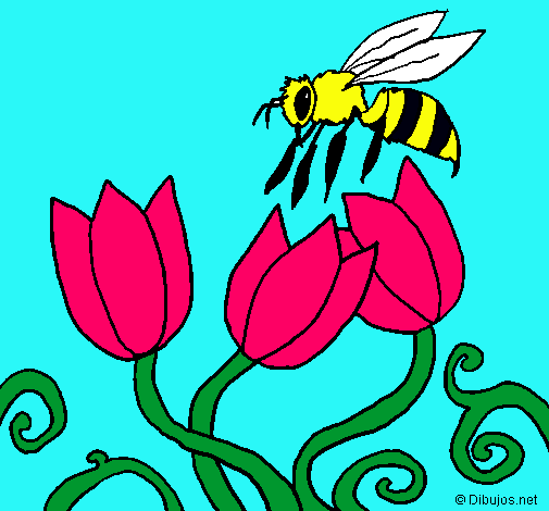 Abeja