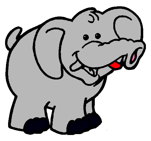 Elefante