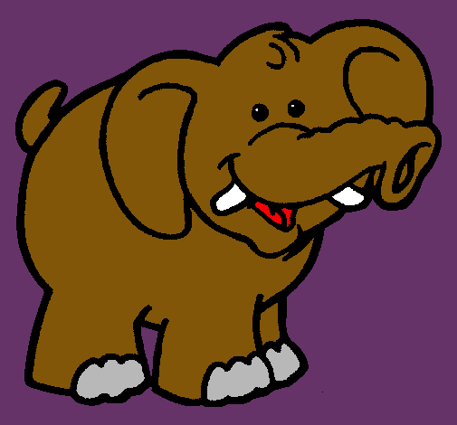 Elefante