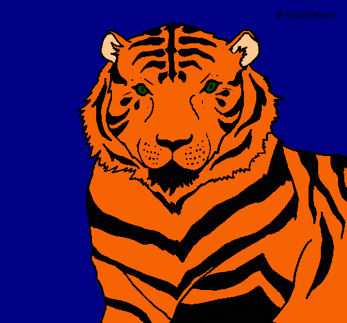 Tigre