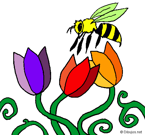 Abeja