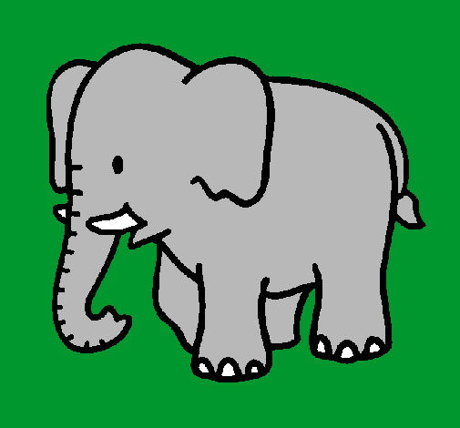 Elefante bebe