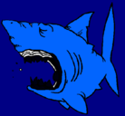 Dibujo Tiburón pintado por rafaeloctavio