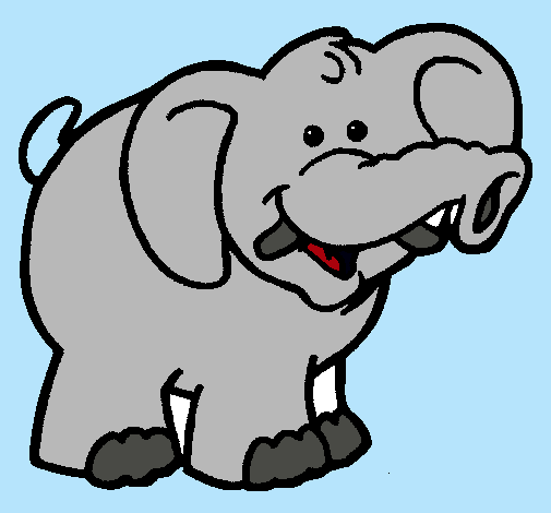 Elefante