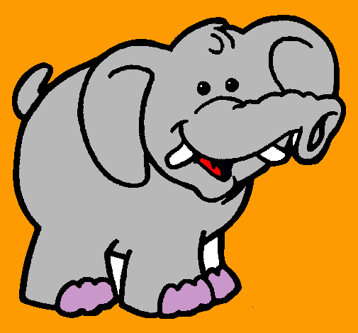 Elefante