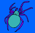 Dibujo Araña venenosa pintado por antonio