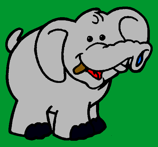 Elefante