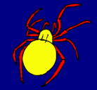 Dibujo Araña venenosa pintado por victorhugo