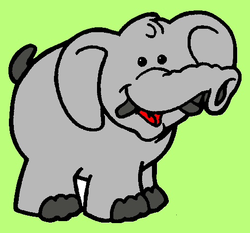 Elefante