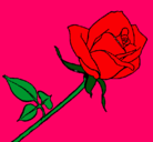 Dibujo Rosa pintado por casiangeles