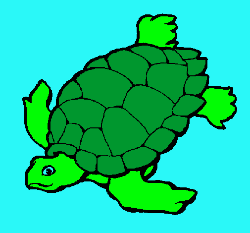 Tortuga