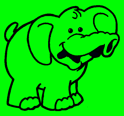 Elefante