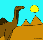 Dibujo Camello pintado por stefangio