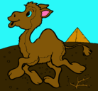 Dibujo Camello pintado por gabriel