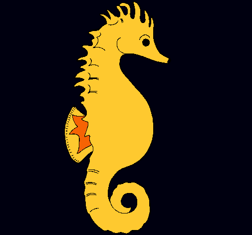 Caballito de mar