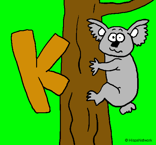 Koala