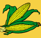 Dibujo Mazorca de maíz pintado por liz