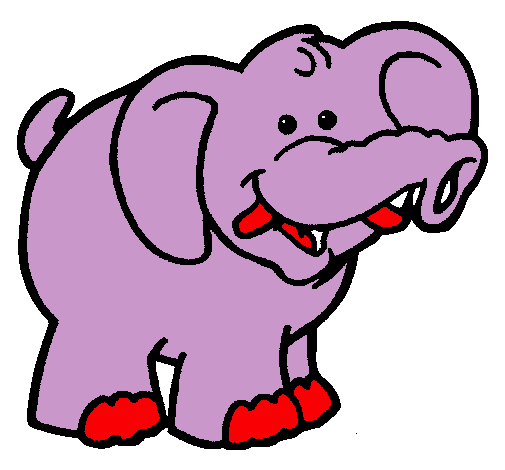 Elefante