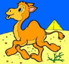 Dibujo Camello pintado por hanna