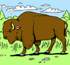 Dibujo Búfalo  pintado por alondra