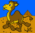 Dibujo Camello pintado por amantedeloscaballos