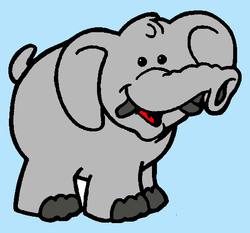 Elefante