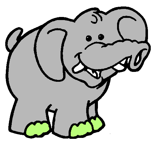 Elefante