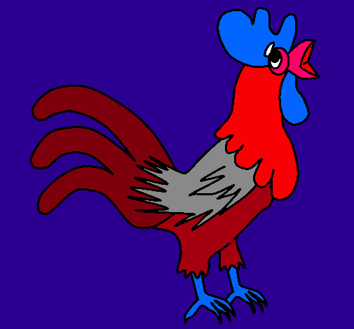 Gallo