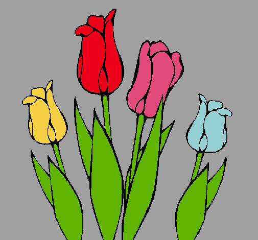 Tulipanes