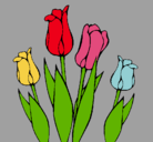 Dibujo Tulipanes pintado por Helena