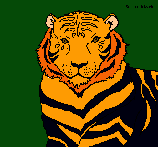 Tigre