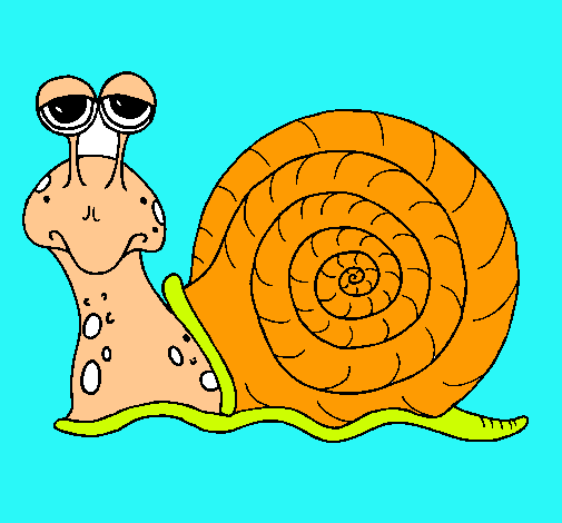 Caracol