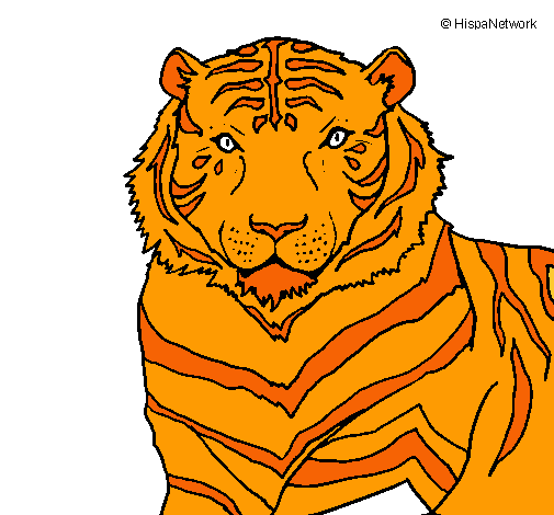 Tigre