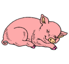 Dibujo Cerdo durmiendo pintado por jorgito