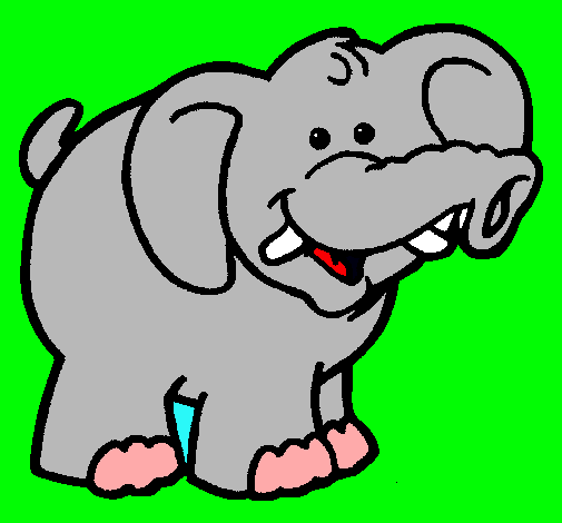 Elefante