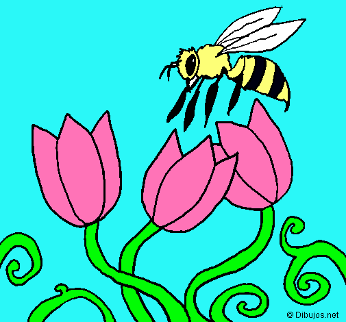 Abeja