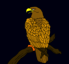 Dibujo Águila en una rama pintado por mgt62