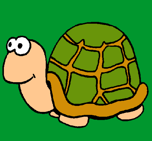 Tortuga