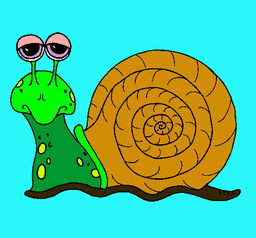 Caracol