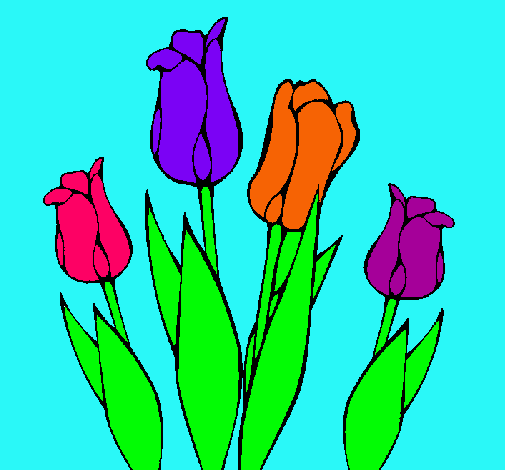 Tulipanes