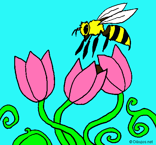 Abeja