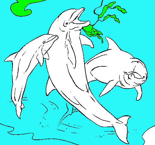 Delfines jugando