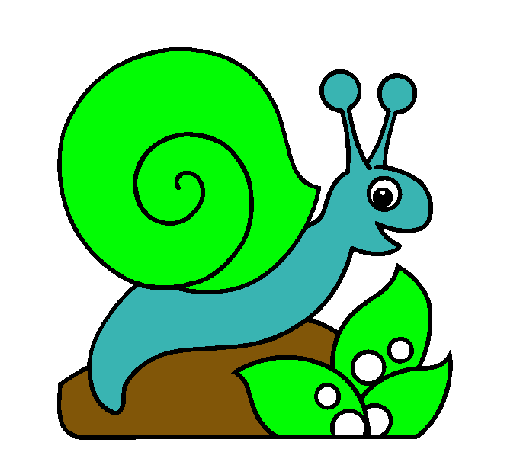 Caracol