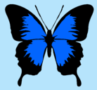Dibujo Mariposa con alas negras pintado por camila