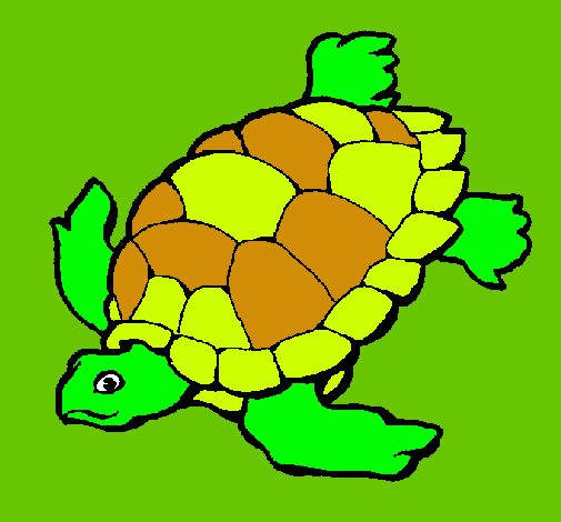 Tortuga