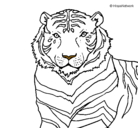 Dibujo Tigre pintado por marcomari