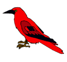 Dibujo Cuervo pintado por Rojo