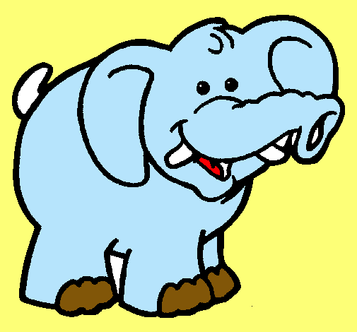 Elefante